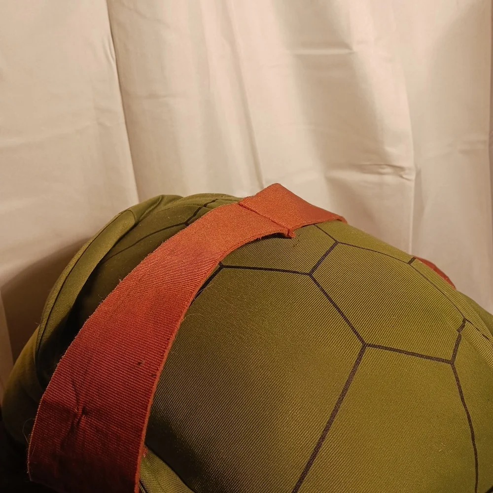 Nickelodeon this tmnt